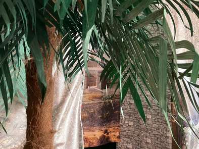 Stadttor von Jerusalem